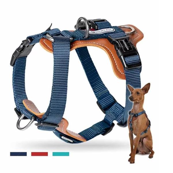 Mysudui-犬用の調節可能な革製ペットベスト,2つのゴミ箱と小サイズの中型犬用のウォーキングクリ...