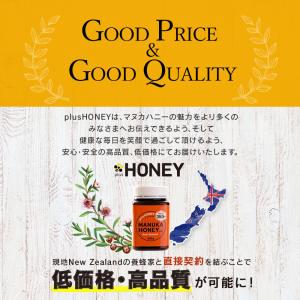 マヌカハニー MGO135+ 250g|お試し...の詳細画像1