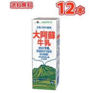 らくのうマザーズ 大阿蘇牛乳 1L紙パック 12本(6本×2ケース)テトラ ブリック 大容量 1000ml 1リットル牛乳 ぎゅうにゅう ロングライフ ミルク 九州産 業務用｜プラスイン