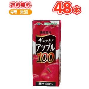 らくのうマザーズ アップル100 200ml紙パック　24本入×2ケース〔りんご アップル ジュース...