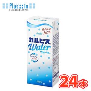 エルビー　カルピス ウォーター【250ml】×24本　送料無料　〔乳酸菌飲料 乳性飲料 清涼飲料水 ...