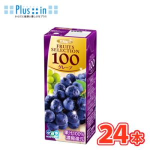FRUITS SELECTION エルビー フルーツセレクション グレープ100 200ml