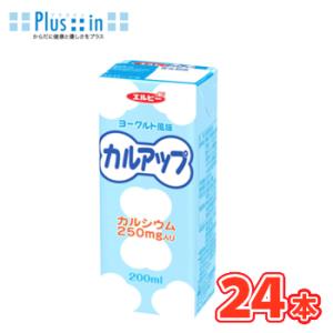 WorldTrip マンゴーラッシー ( 200ml*24本入 )/ エルビー飲料 : 爽快