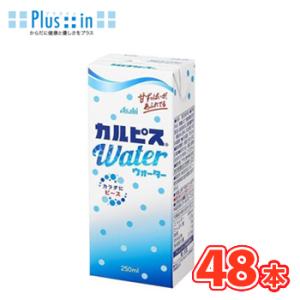 エルビー　カルピス ウォーター【250ml】×24本/2ケース　〔乳酸菌飲料 乳性飲料 清涼飲料水 ...