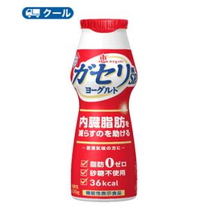 雪印　メグミルク　恵 ガセリ菌 SP株ヨーグルト ドリンクタイプ100ｇ×48本 【クール便】｜プラスイン