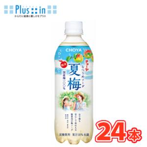 伊藤園 冷梅 ひやしうめ 冷凍対応500ml×2ケース（全48本）送料無料