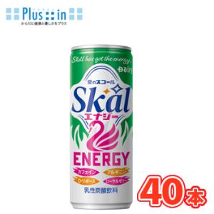 南日本酪農　スコールエナジー250ml×20本入/2ケース　缶 〔デーリィ 愛のスコール Skal ...