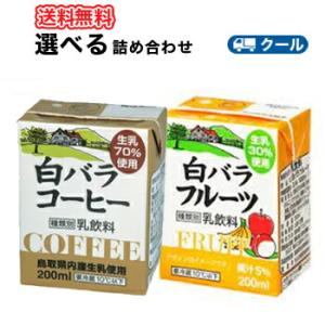白バラ　コーヒー・フルーツ　選べる2種類/6本×4セット【200ml×24本入】