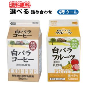 白バラ　コーヒー・フルーツ　選べるセット2種類×3本【500ml×6本入】