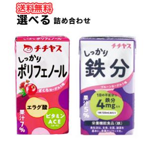 チチヤス　しっかり鉄分　ポリフェノール　125ml×12本/4ケース　紙パック　/2種類より選べる4...