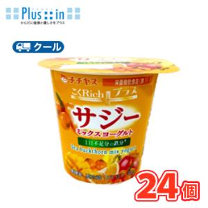 チチヤス　こくRichプラスサジーミックスヨーグルト　90g×12個入/2ケース【クール便】〔ヨーグ...