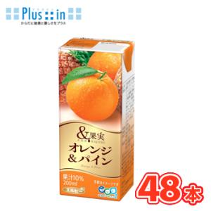 エルビー　＆果実 オレンジ＆パイン　200ml×24本入/2ケース　紙パック〔ミックスジュース フル...