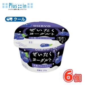 オハヨー　 ぜいたく果実ヨーグルト 大粒ブルーベリー【125g×6個】　クール便　食べる　〔オハヨー...