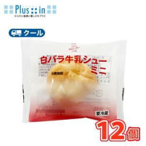 白バラ 牛乳シュー　ミニ 12個【クール便】  シュークリーム 洋菓子 おやつ　スイーツ