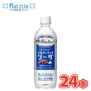 キリン 世界のKitchenから ソルティライチソーダ　500ml×24本入 KIRIN ペットボト...