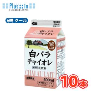 白バラ　チャイオレ【500ml×10本】 クール便/チヤイ　お茶　期間限定