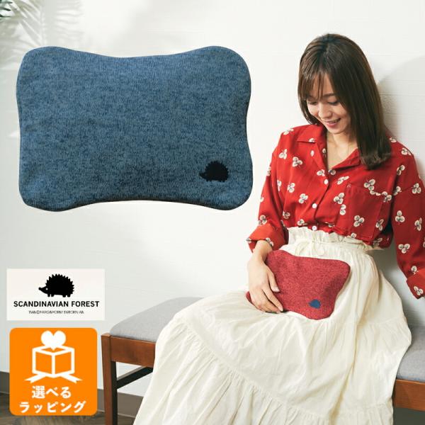 SCANDINAVIAN FOREST 蓄熱式湯たんぽ ブルー EF-HW03BL アンファンス 北...