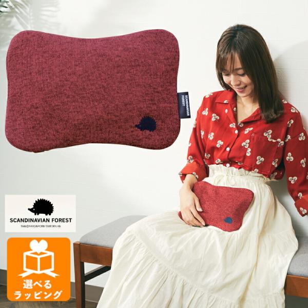 SCANDINAVIAN FOREST 蓄熱式湯たんぽ レッド EF-HW03RD アンファンス 北...