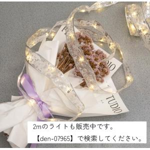 イルミネーションLEDライト 5m 屋内用 デ...の詳細画像4