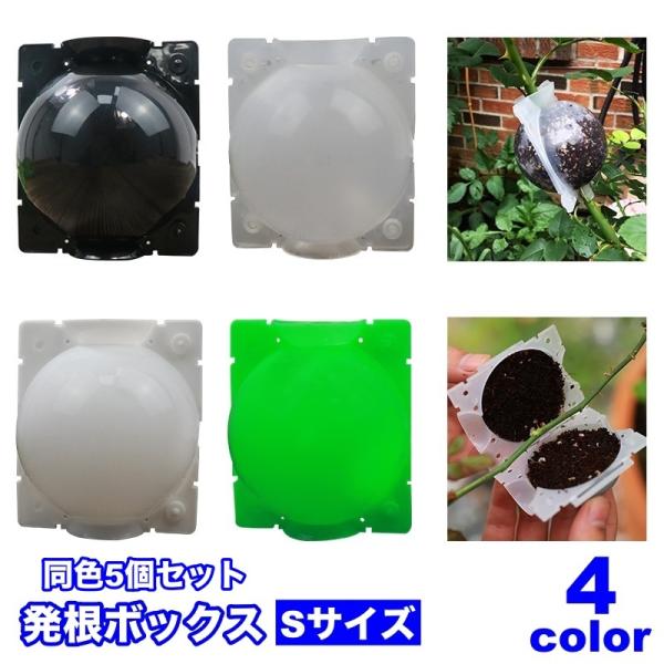 発根ボックス 5個セット 取り木ボール 植物 繁殖 株分け 発根装置 簡単取付け ガーデニング 園芸...