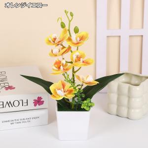 造花 胡蝶蘭 コチョウラン ラン 花 植物 ミ...の詳細画像1