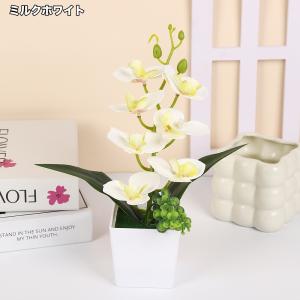 造花 胡蝶蘭 コチョウラン ラン 花 植物 ミ...の詳細画像2