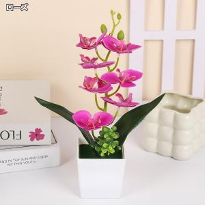 造花 胡蝶蘭 コチョウラン ラン 花 植物 ミ...の詳細画像3