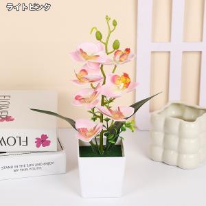 造花 胡蝶蘭 コチョウラン ラン 花 植物 ミ...の詳細画像5