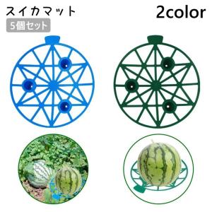 スイカマット 5個セット フルーツマット かぼち...の商品画像