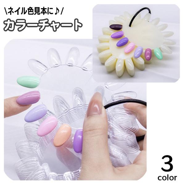 カラーチャート ネイルチャート 10枚入り 楕円形 ネイル用品 色見本 サンプル制作 リング付き カ...