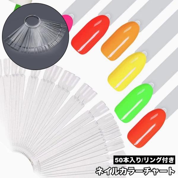 カラーチャート ネイルチャート スティック 50本入り ネイル用品 色見本 リング付き ネイルサロン...