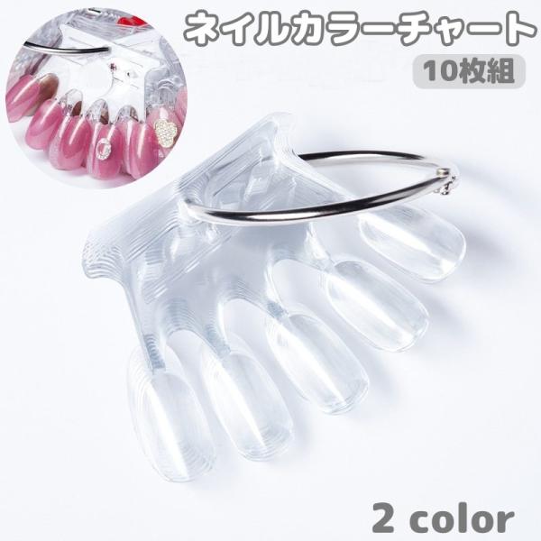 カラーチャート ネイルチャート 扇形 10枚組 10枚セット 50色 オーバル 5本指 色見本 ネイ...