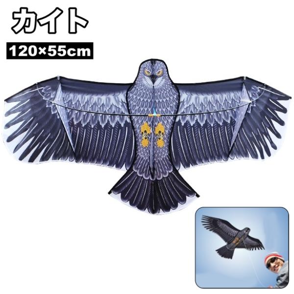凧 カイト 凧揚げ シングルカイト イーグルカイト 鷹 鷲 かっこいい たこあげ 鳥よけ 鳥除け ス...