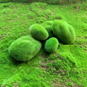 フェイク苔石 5個セット 苔玉 石 岩 コケリ...の詳細画像3