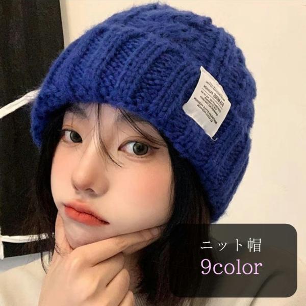 ニット帽 ニットキャップ レディース 女性 メンズ 男性 ユニセックス 男女兼用 帽子 ぼうし ファ...