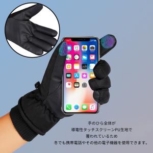 アウトドアグローブ メンズ レディース グロー...の詳細画像1