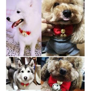 チョーカー ネックレス 首輪 犬用 猫用 ペッ...の詳細画像1