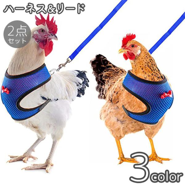 ハーネス リード 2点セット 鶏用 アヒル 鳥用 犬 猫 ペット用品 胴輪 メッシュ Dカン 蝶ネク...