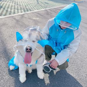 ペットウェア レインコート 犬用 犬服 レイン...の詳細画像2