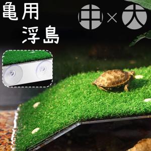 爬虫類 リクガメ 亀 魚 熱帯魚水槽 ビオトープ 60cm 蛍光灯付き 楽天市場】亀 水槽 ライトの通販