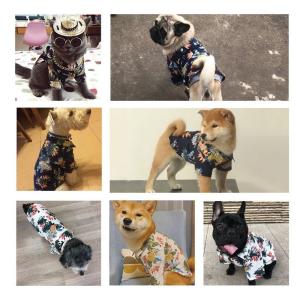 ドッグウエア ペットウエア 犬の服 犬服 アロ...の詳細画像2
