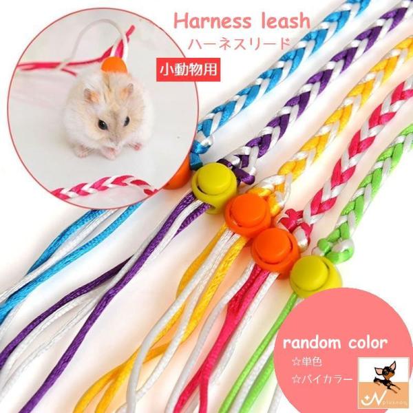 ハーネスリード 小動物用 リード一体型 胴輪 首輪 2WAY スリップリード 単色 バイカラー カラ...