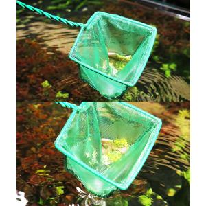 観賞魚用すくい網 水網 魚用ネット フィッシュ...の詳細画像2