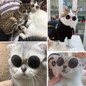 ペット用サングラス 猫用サングラス 猫用メガネ...の詳細画像4