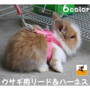 ウサギ用ハーネス リード 2点セット 胴輪 牽引紐