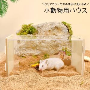 plusnao セラミックハウス 小動物用品 ハムスター用 ペットグッズ 雲型