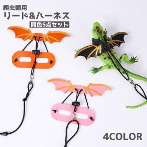 爬虫類用リード ハーネス リード 5点セット 蜥蜴 爬虫類 ペット用品 ペットグッズ ロープ ドラゴン 翼 調節可能 小動物 散歩 お出かけ かわいい