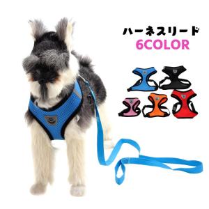 GUCCI（グッチ） 犬用 首輪&リード レザー ブラック シルバーカラー