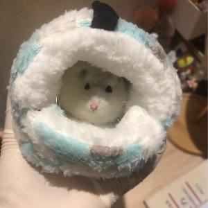 小動物用ハウス ハンモック 小型ペット用 寝具...の詳細画像1