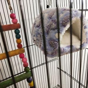 小動物用ハウス ハンモック 小型ペット用 寝具...の詳細画像4